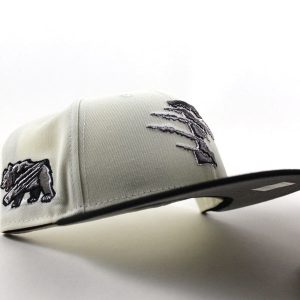 Fresno Grizzlies Grizzlies Patch New Era 59Fifty Fitted Hat (Chrome White Black Gray Under Brim)